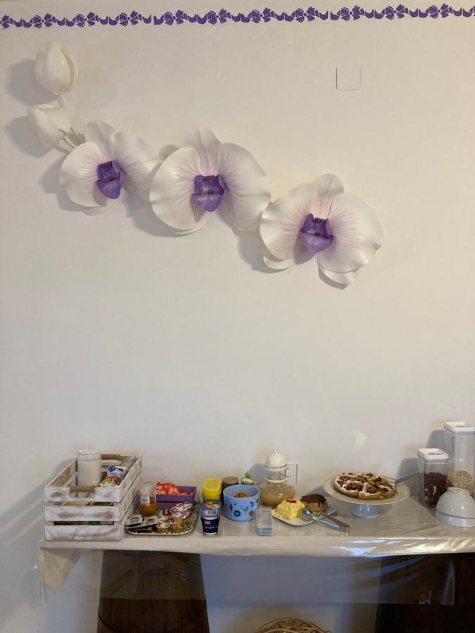 B&B Casa Losea Castello delle Forme Екстериор снимка